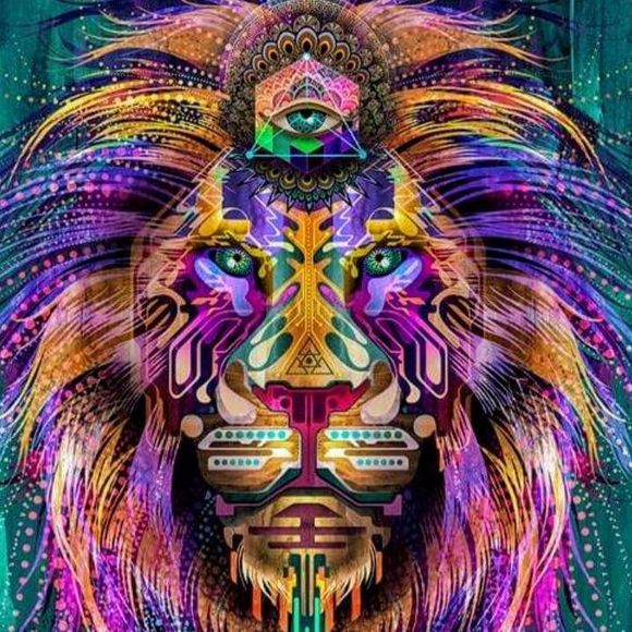 Meet your Posher, Daniel - Picture 1 of 1